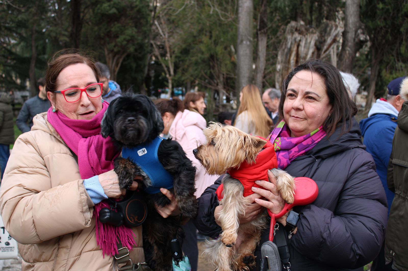 san-anton-bendicion-de-animales-2024-foto-s24h-38