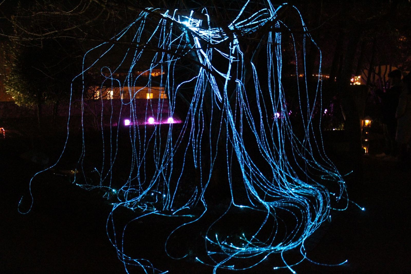 20231204213023-img-6424