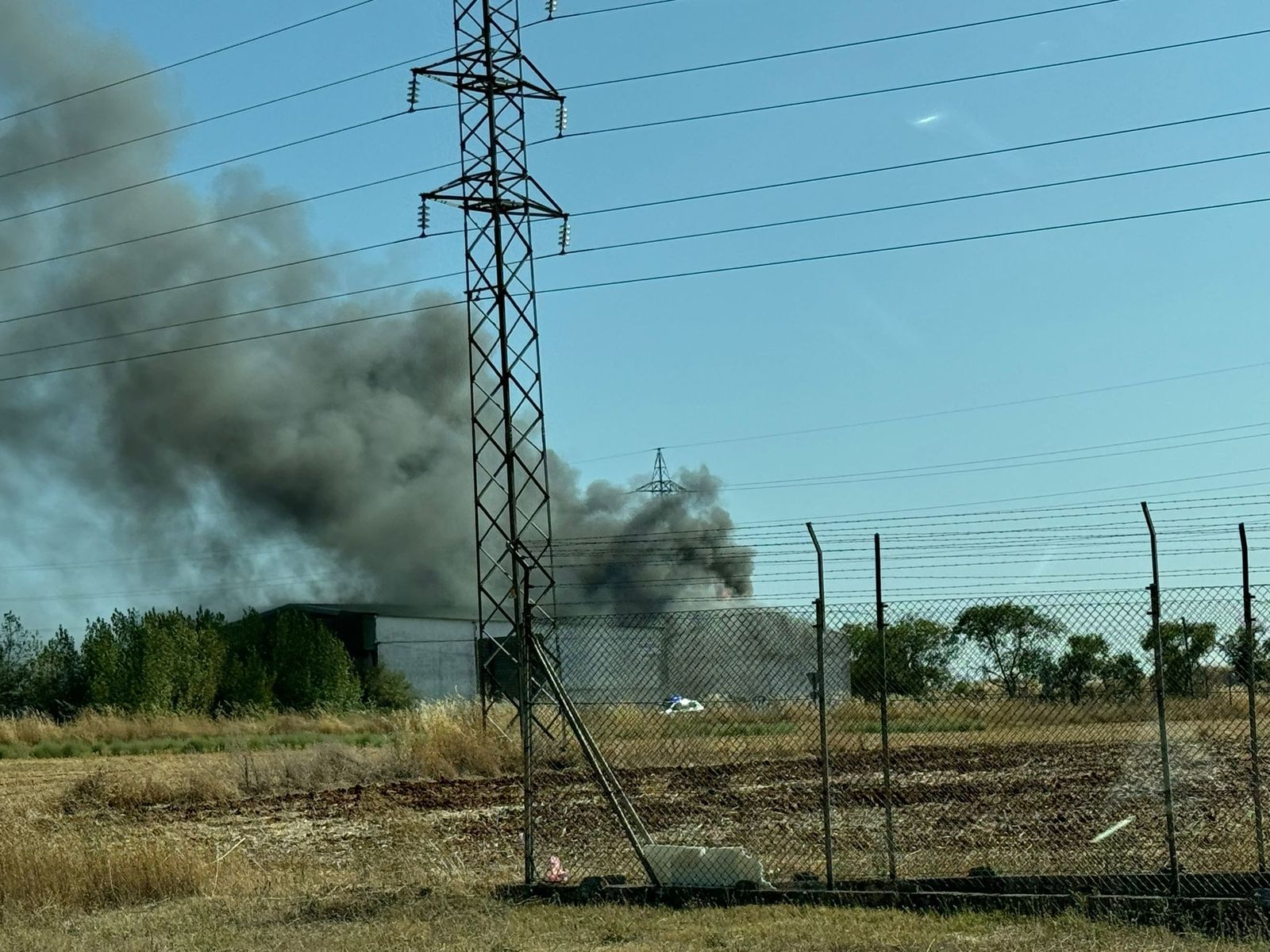 whatsapp-image-2024-08-22-at-17-44-34-2