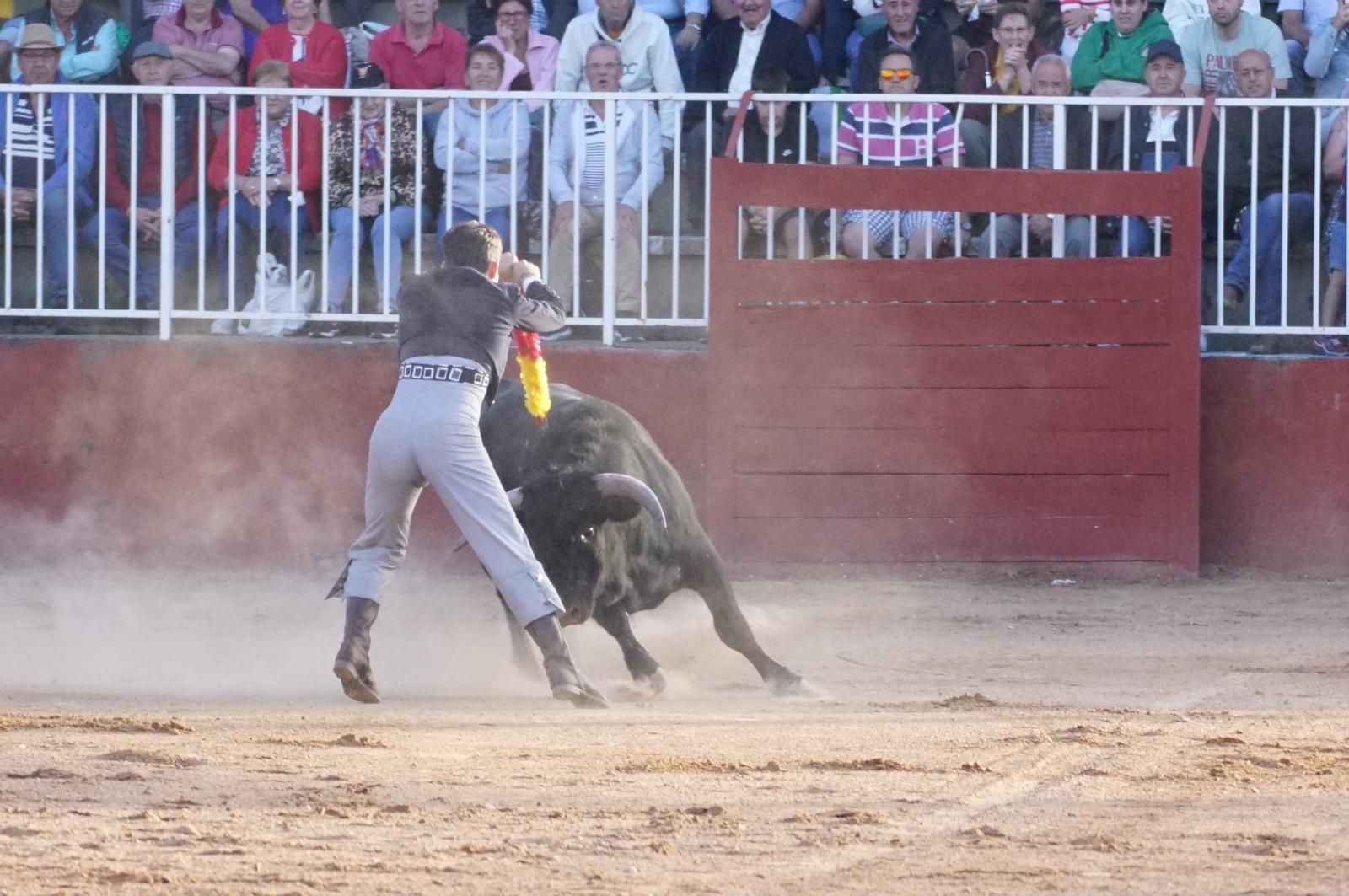 whatsapp-image-2024-09-06-at-20-54-06