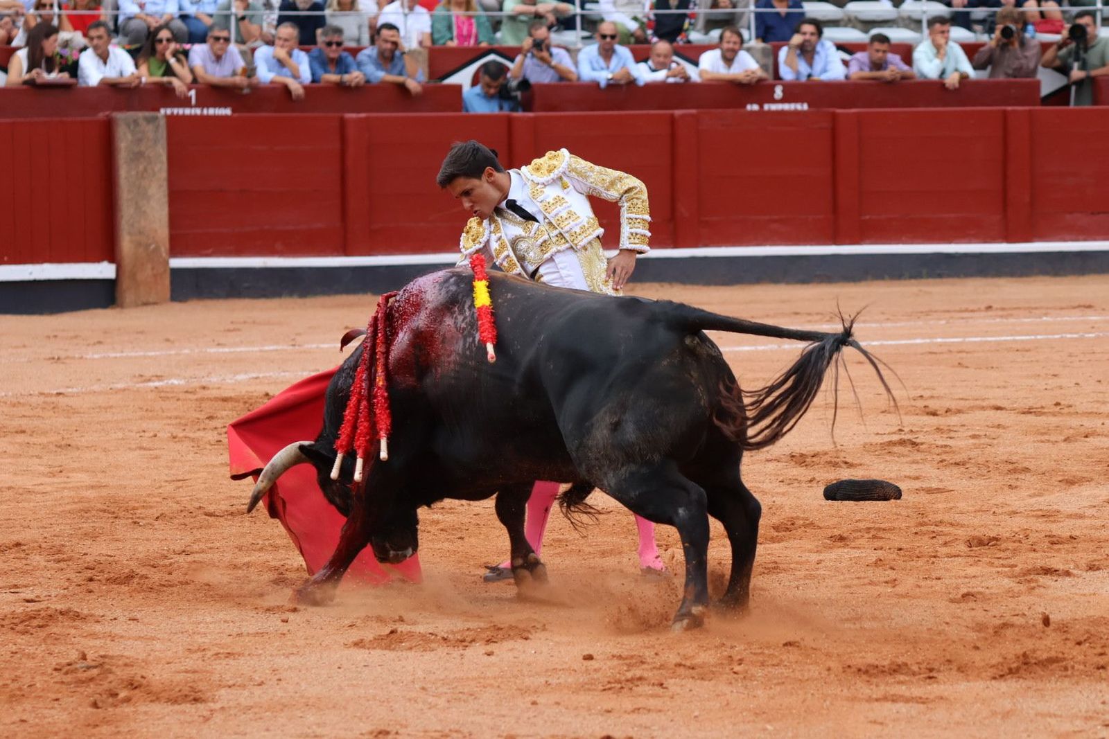 20230910180308-img-1996