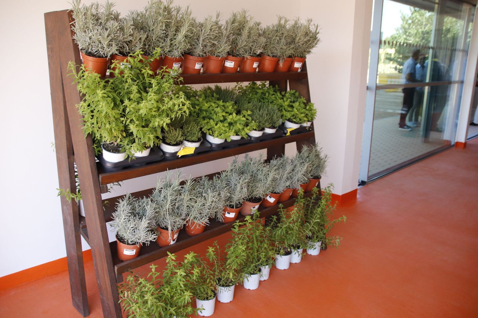 20220917101124-mg-8928