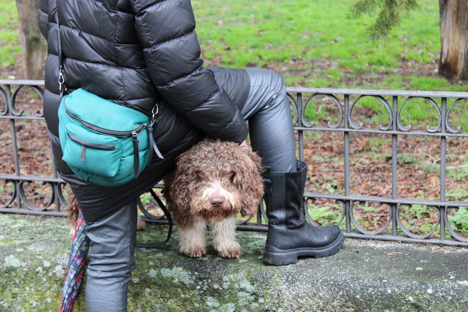 san-anton-bendicion-de-animales-2024-foto-s24h-18