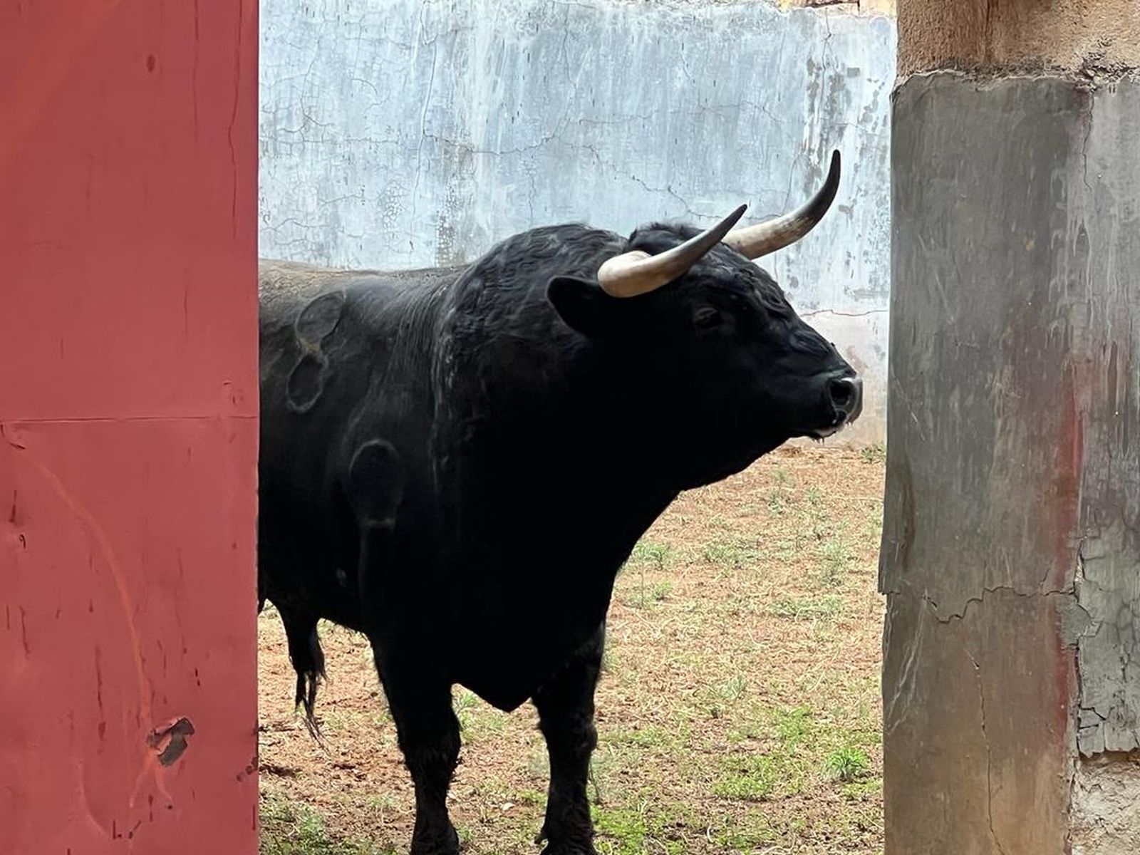 whatsapp-image-2023-09-16-at-12-53-09