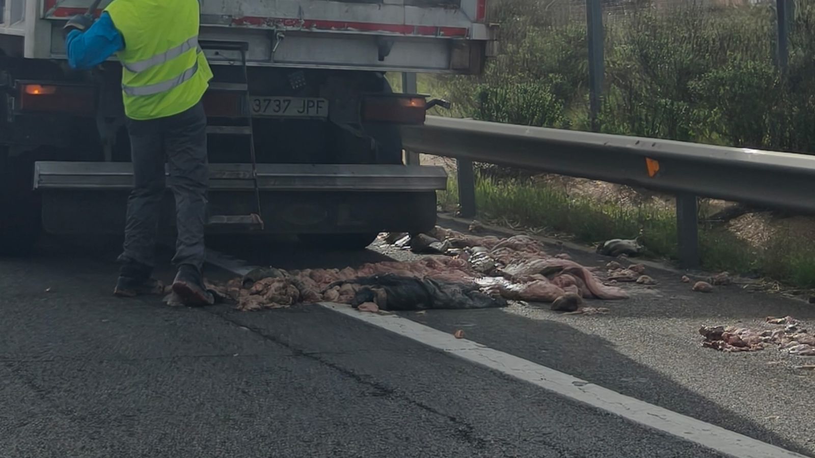 Caída de carne en la carretera