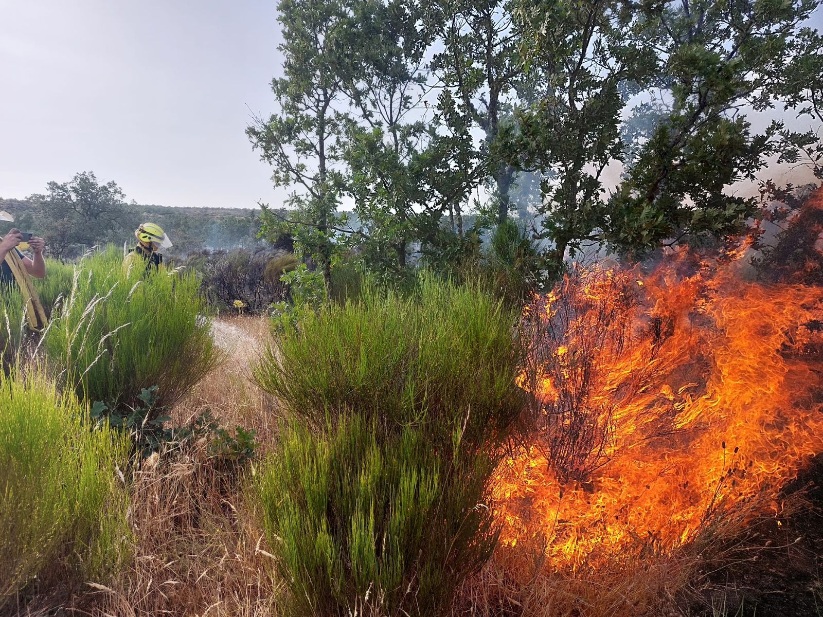 Incendio Zona La Almendra. Foto de archivo.