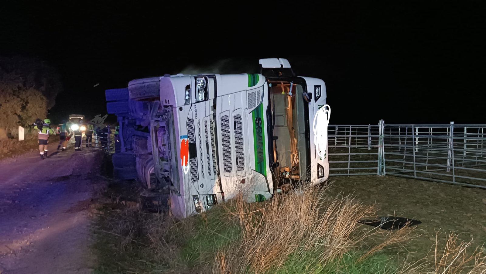 Vuelca un camión cargado de ganado en la SA-114 y deja varios animales muertos