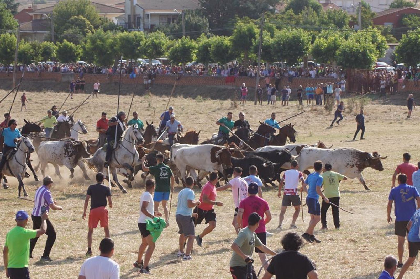 espantes-de-fuentesauco-17