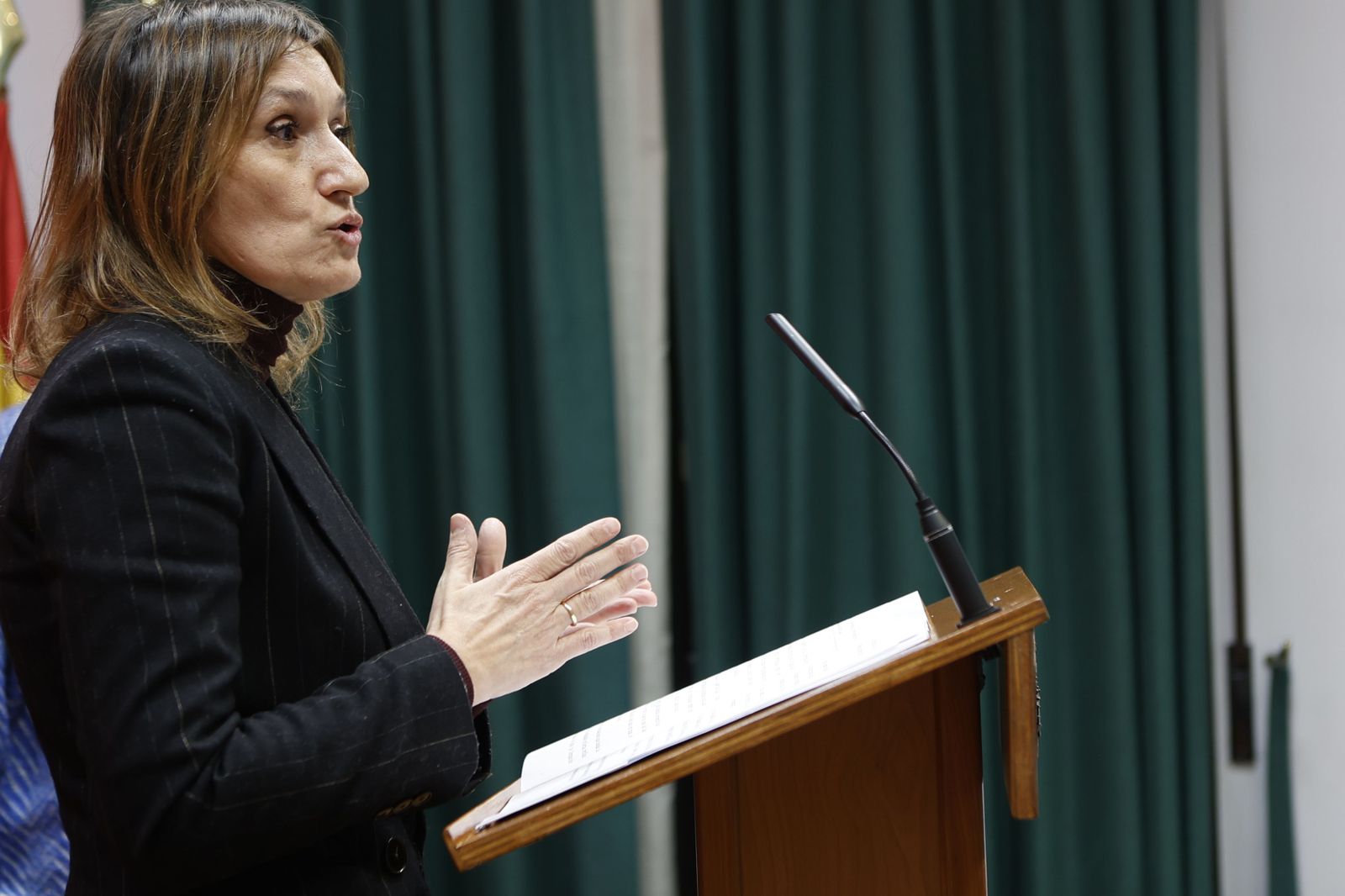 Rocío Lucas, consejera de Educación de la Junta de Castilla y León. Archivo. Rocío Lucas, consejera de Educación de la Junta de Castilla y León. Archivo.