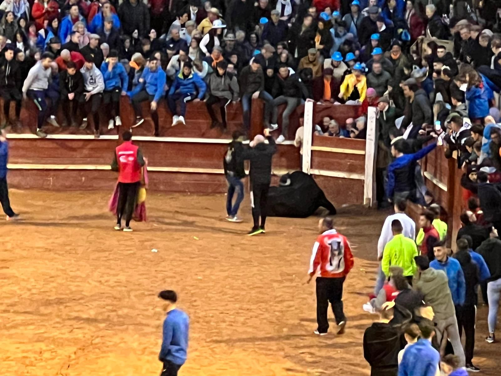 Un toro de El Pilar impacta fuertemente contra un burladero y queda tendido en el suelo en Ciudad Rodrigo