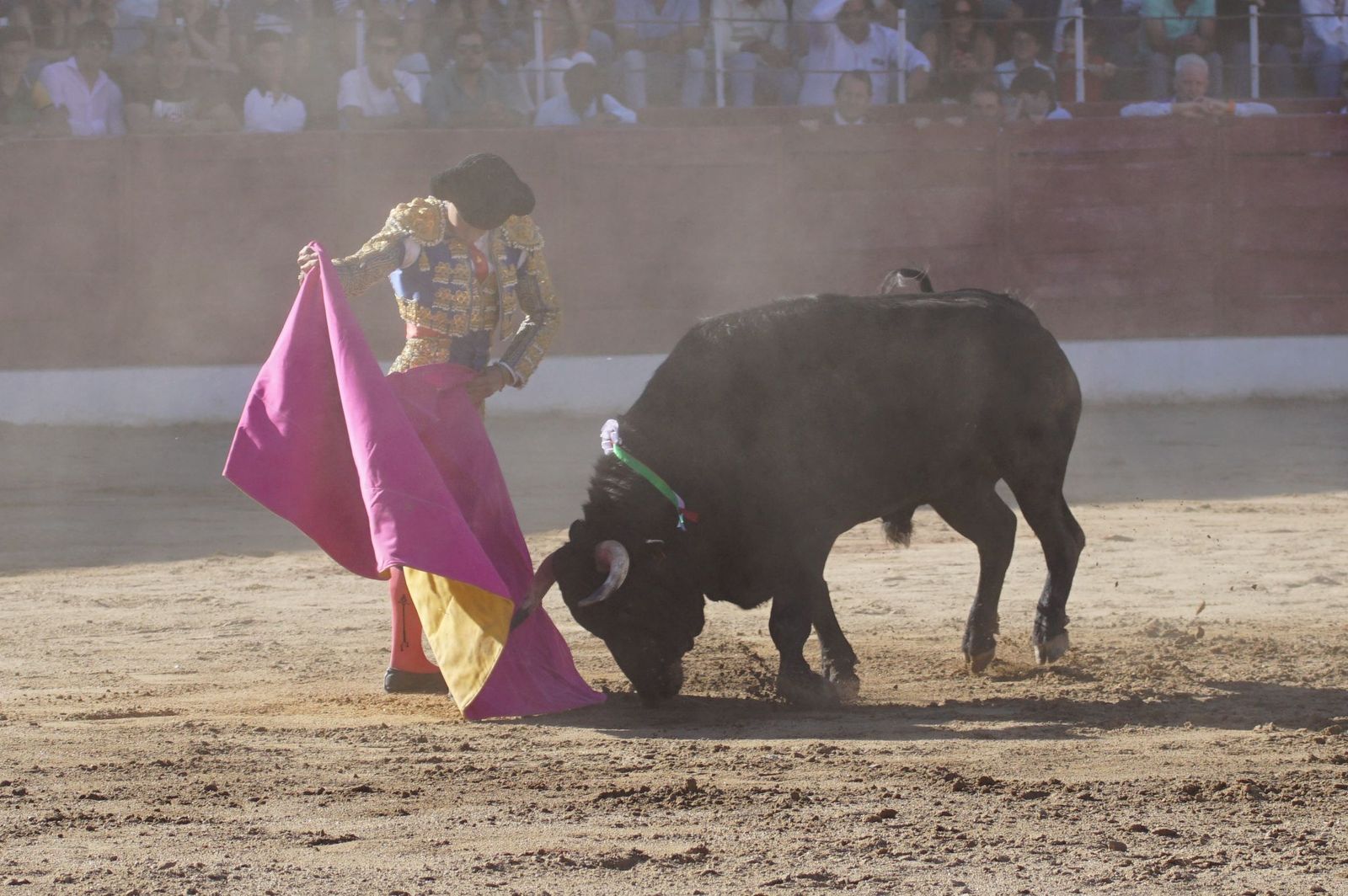 whatsapp-image-2024-06-02-at-22-12-15-2