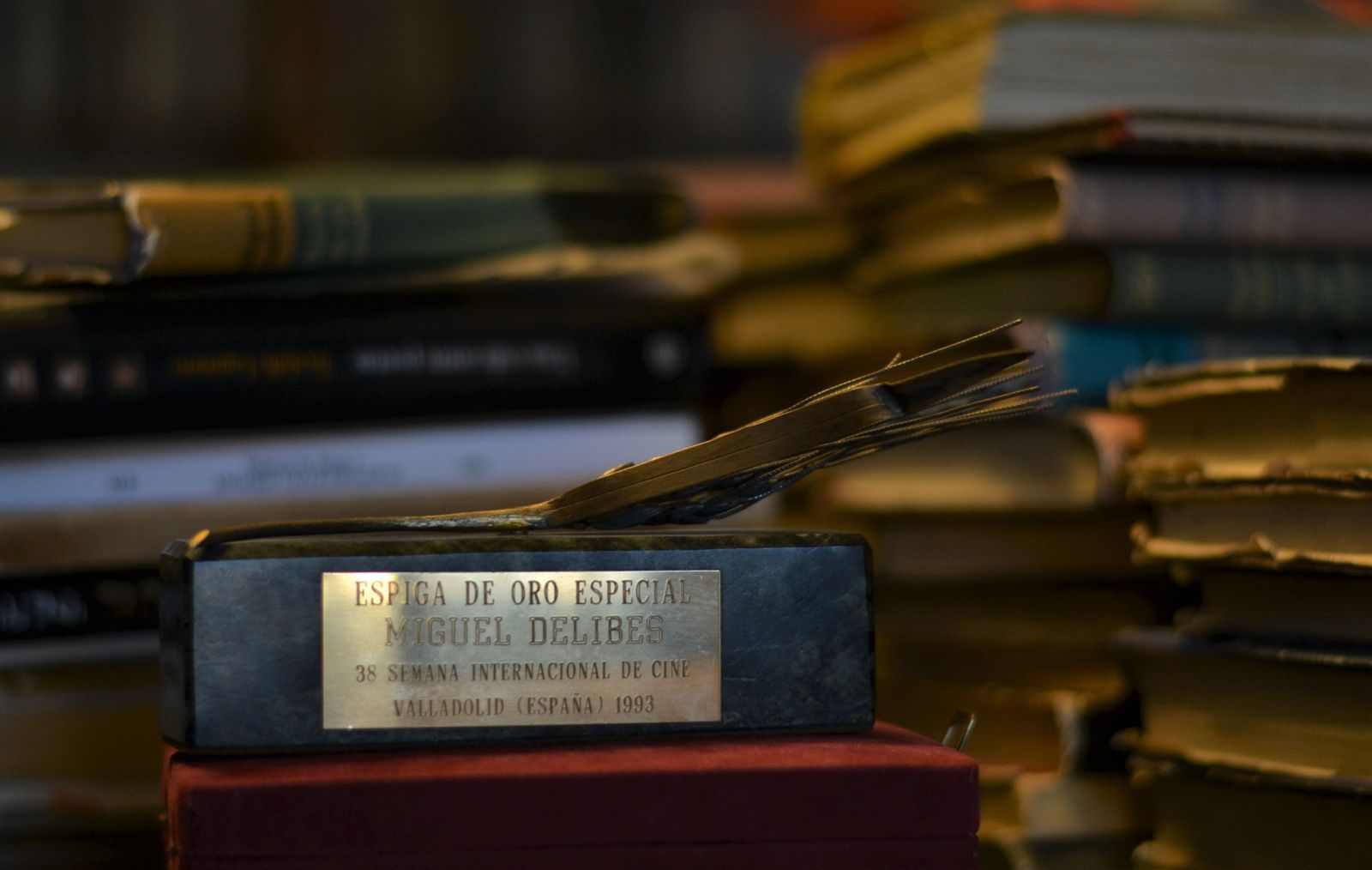 Espiga de Oro Especial de la Seminci de Miguel Delibes.