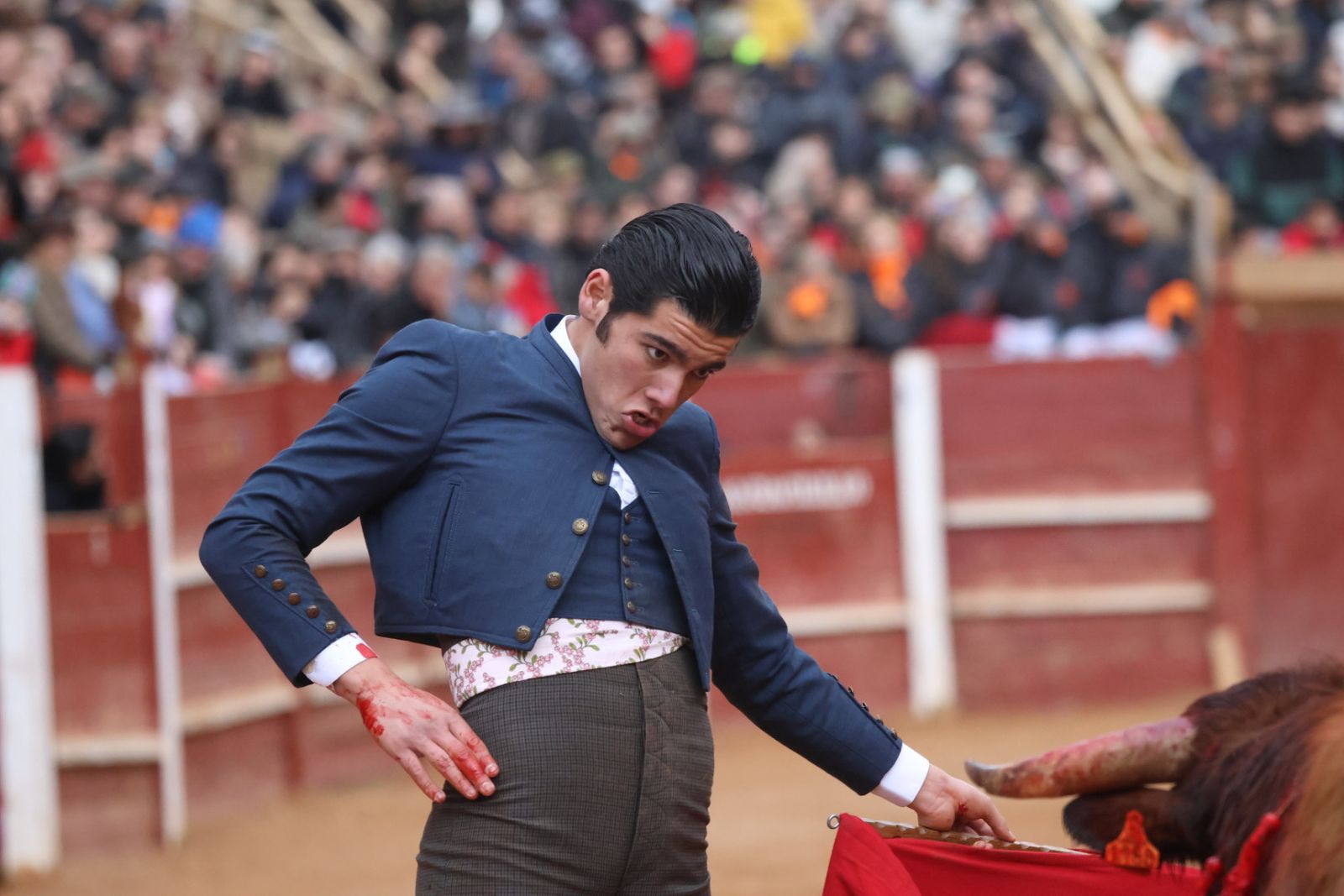 Novillada sin picadores del bolsín taurino y rejones en Ciudad Rodrigo