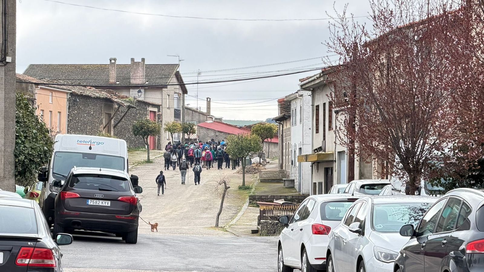 Marcha senderista en Vilvestre