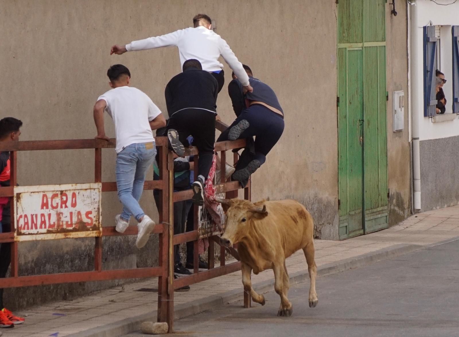 whatsapp-image-2024-09-08-at-14-04-56-5