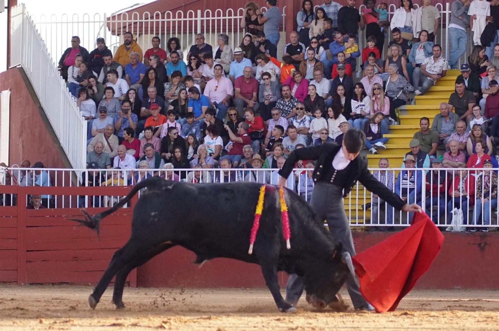 whatsapp-image-2024-09-06-at-20-54-17-3