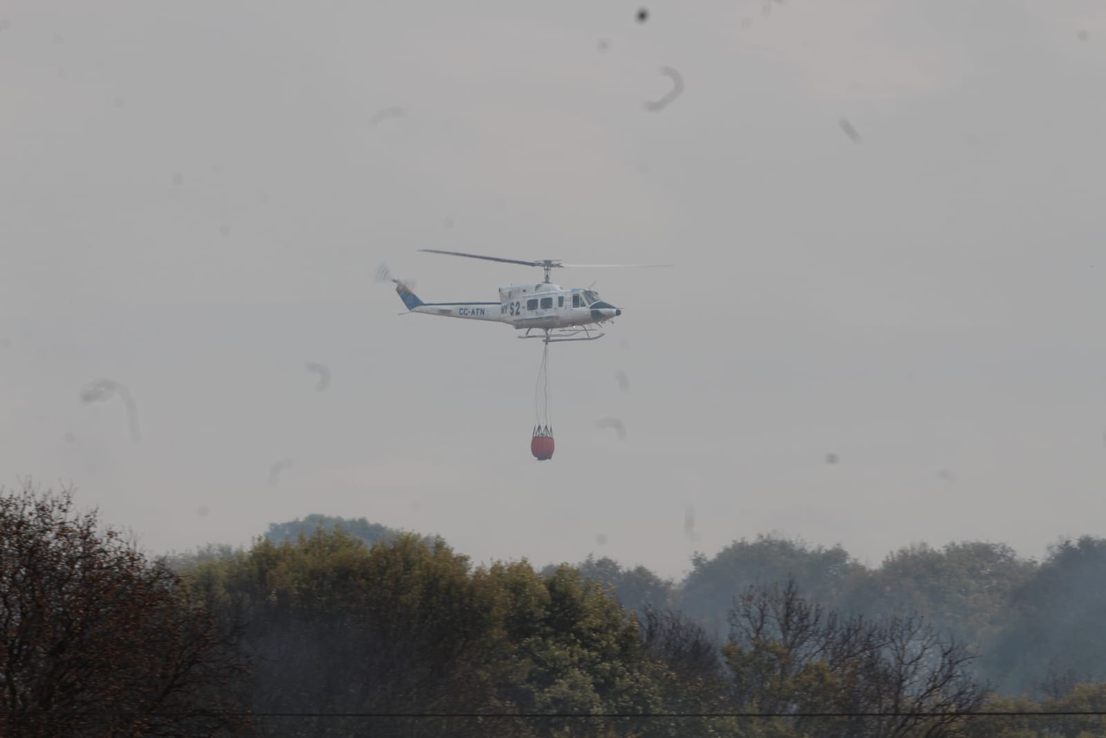 whatsapp-image-2024-09-02-at-14-28-43-1