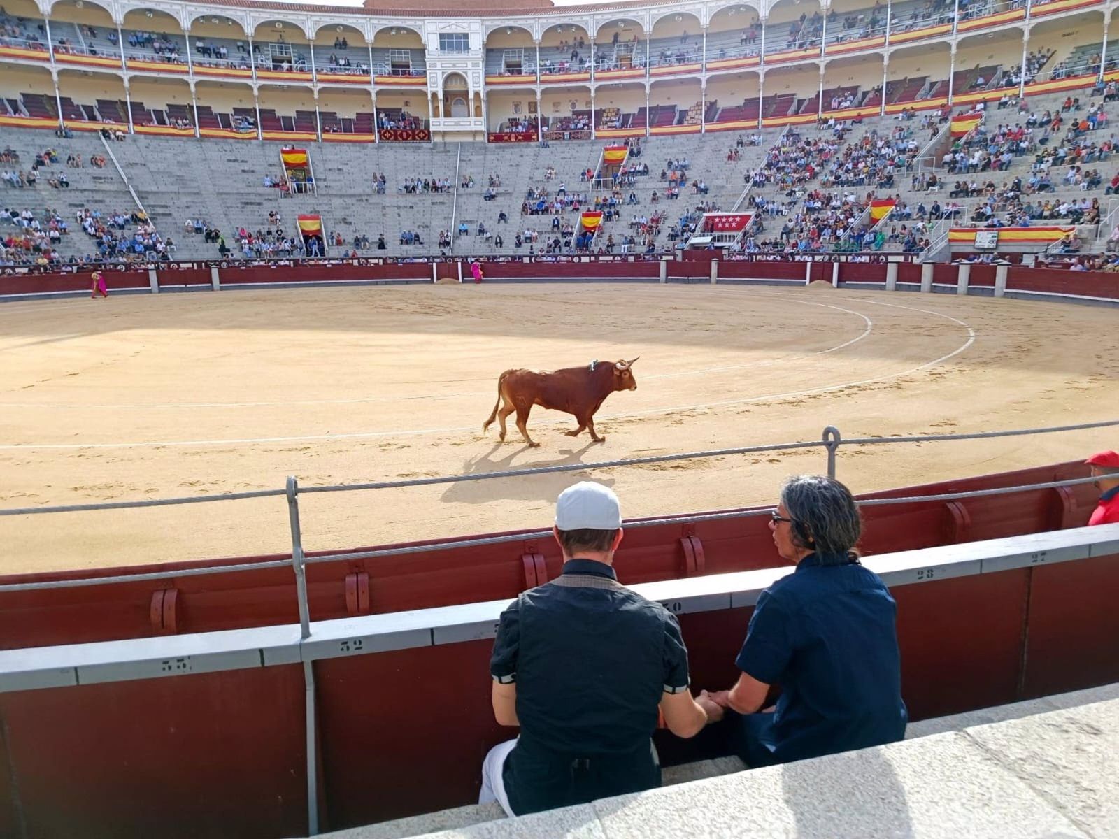 Una imagen de la plaza de toros de Las Ventas el 7 de mayo de 2023. EP