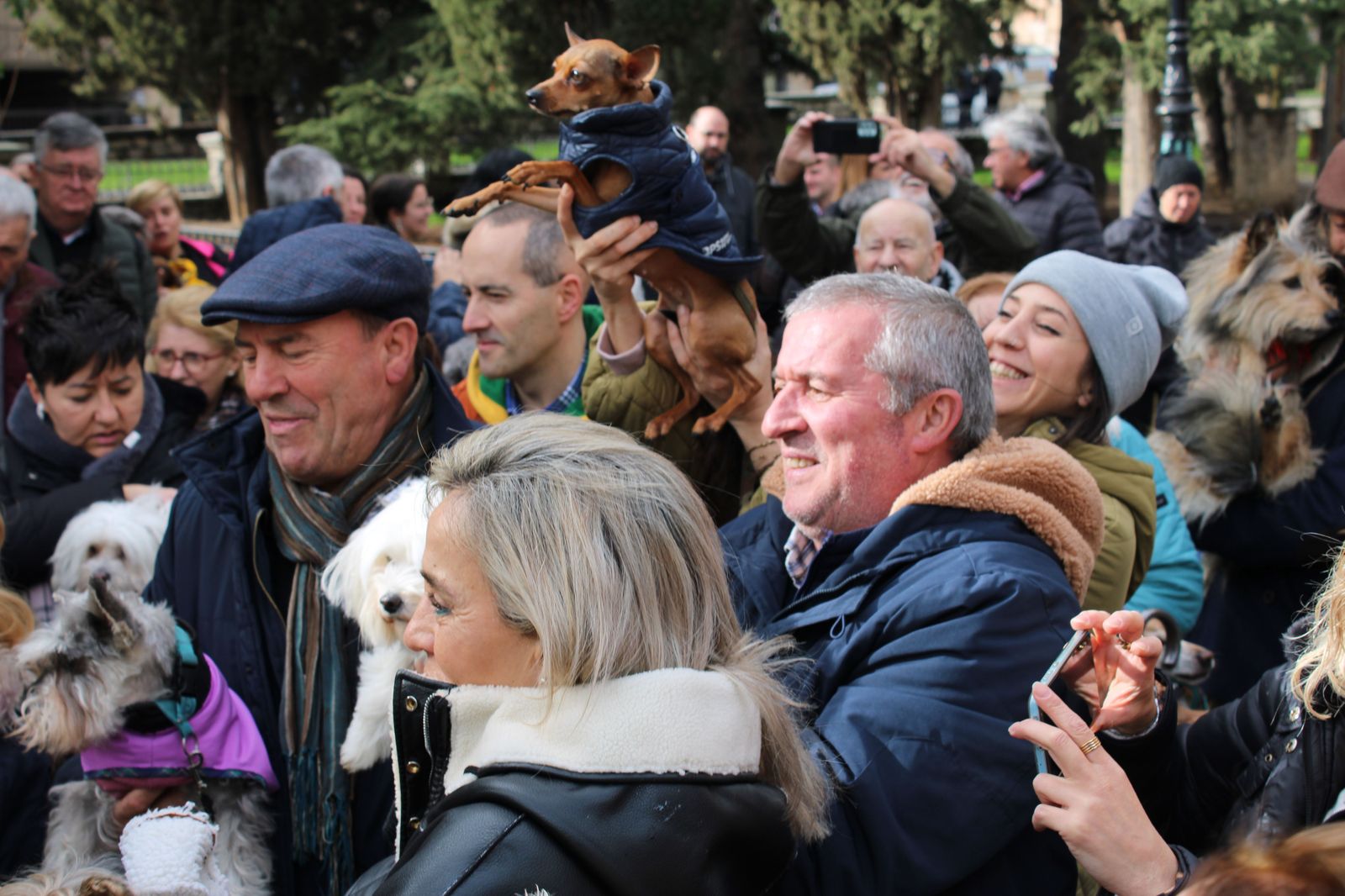 san-anton-bendicion-de-animales-2024-foto-s24h-80