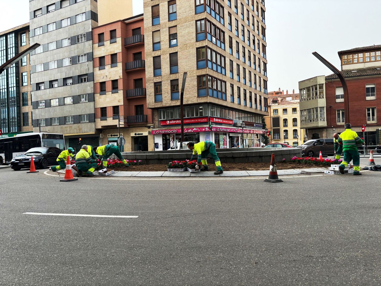 Operarios reponen las flores dañadas en la Plaza de Alemania