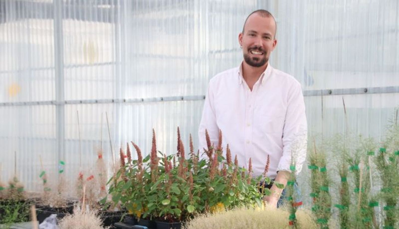 Investigación CIALE del cultivo de amaranto con Pablo Albertos