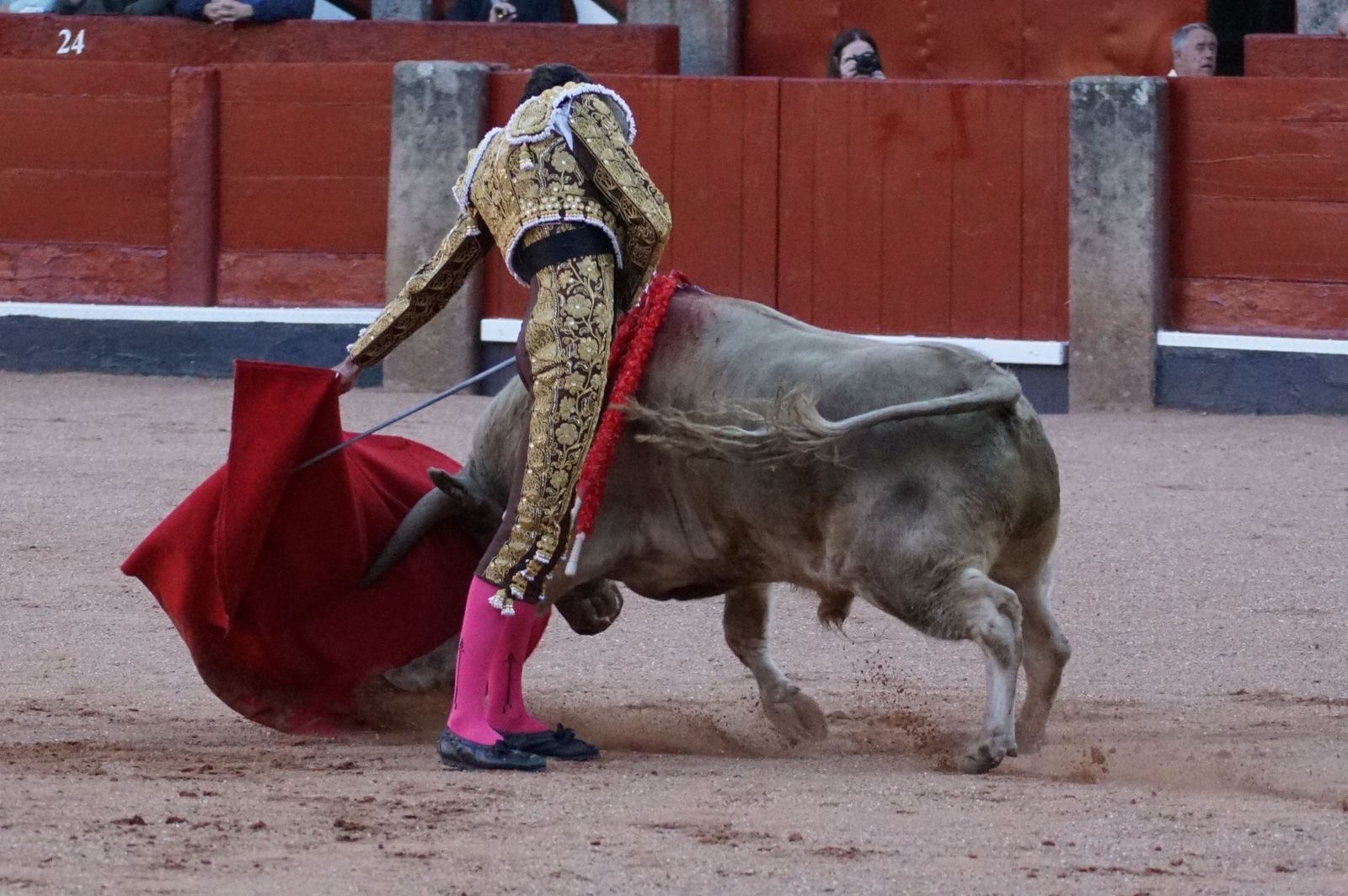 Clase práctica con alumnos de la Escuela de Tauromaquia de Salamanca (Diego Mateos, Noel García y Álvaro Rojo con erales de Esteban Isidro)