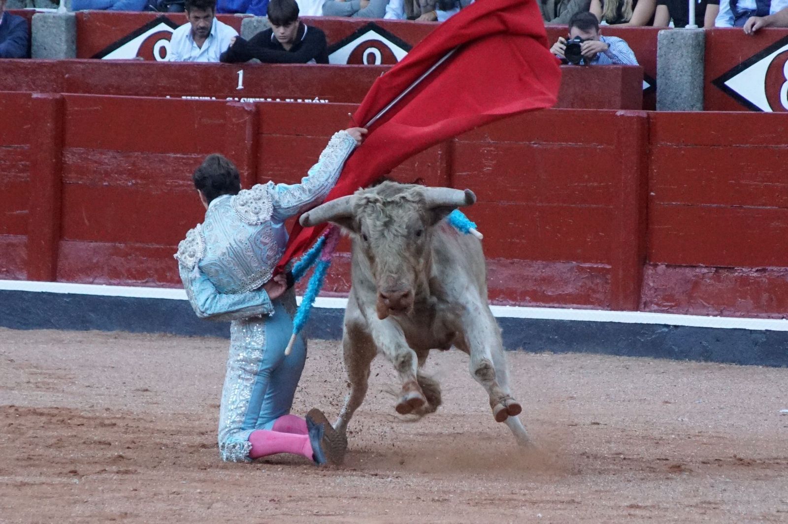 whatsapp-image-2022-09-08-at-9-21-55-pm