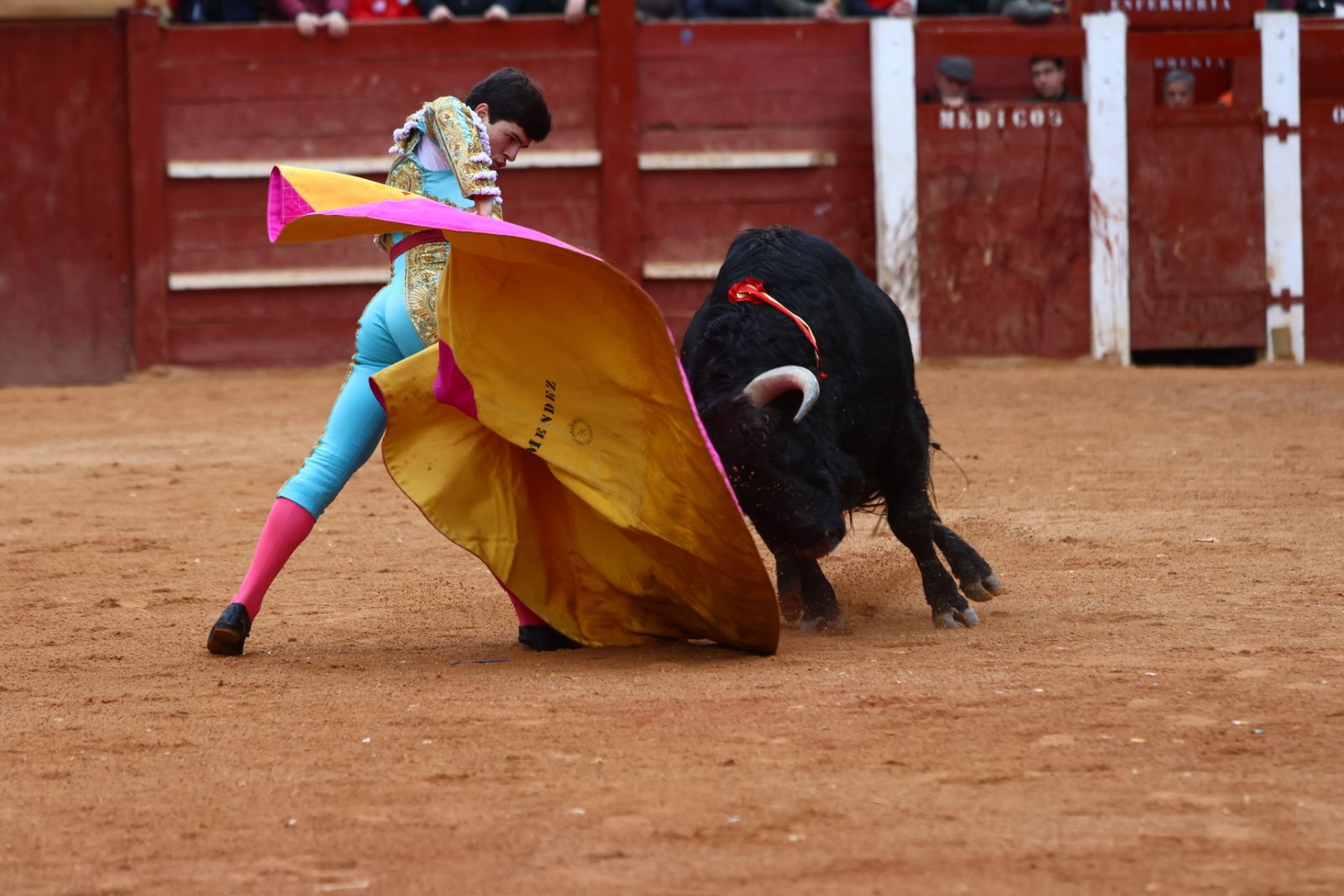 Novillada con picadores de lunes en el Carnaval del Toro de Ciudad Rodrigo 2026