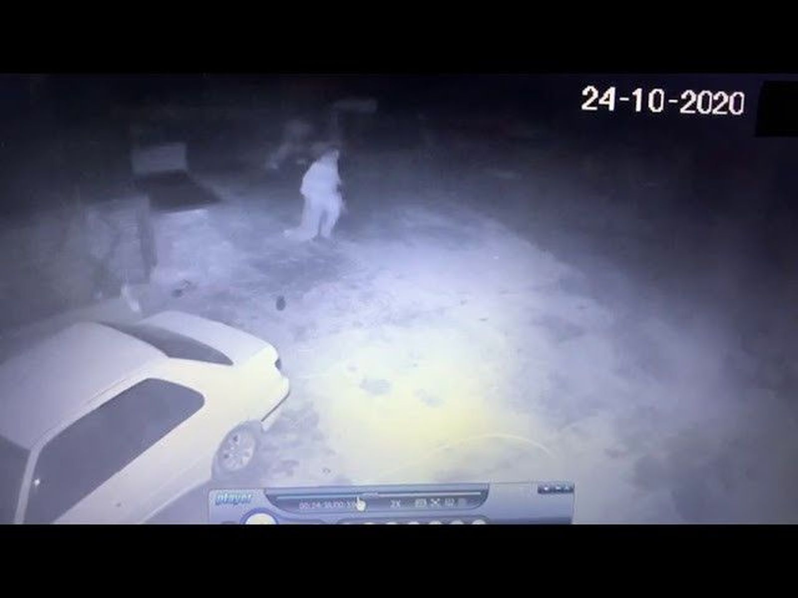 Robo de corderos en Pelabravo, Salamanca