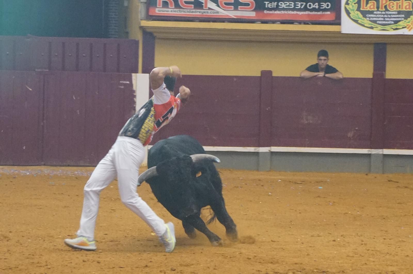 Alba de Tormes celebra un nuevo concurso de cortes