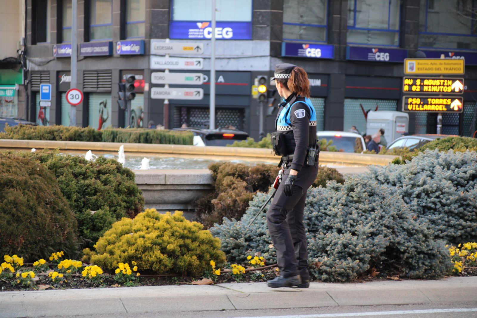 la-policia-local-busca-a-un-vison-refugiado-en-la-fuente-de-la-puerta-de-zamora-fotos-s24h-6