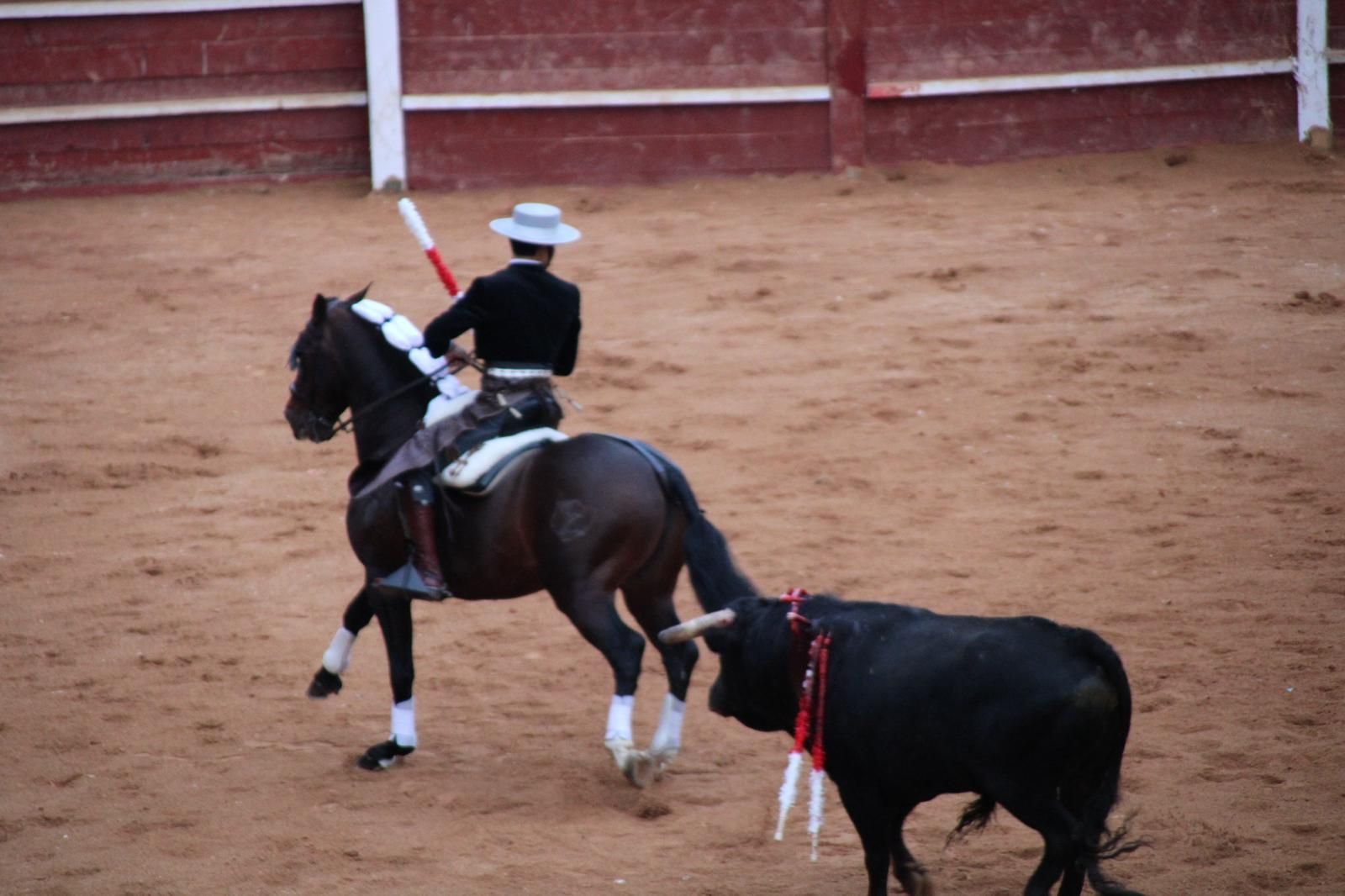 whatsapp-image-2025-03-02-at-18-56-06-1