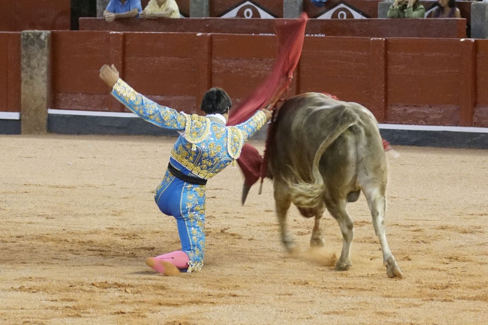 Clase práctica con alumnos de la Escuela de Tauromaquia de Salamanca (Diego Mateos, Noel García y Álvaro Rojo con erales de Esteban Isidro)