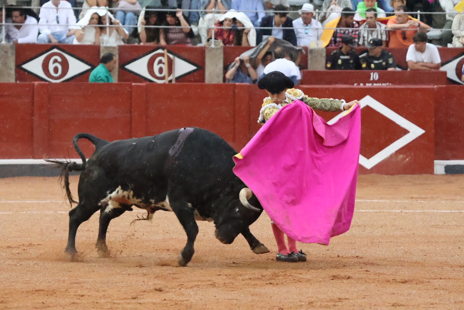 Ismael Martín, Marco Pérez y el aclamado regreso de Morante de la Puebla: su paso por La Glorieta en imágenes