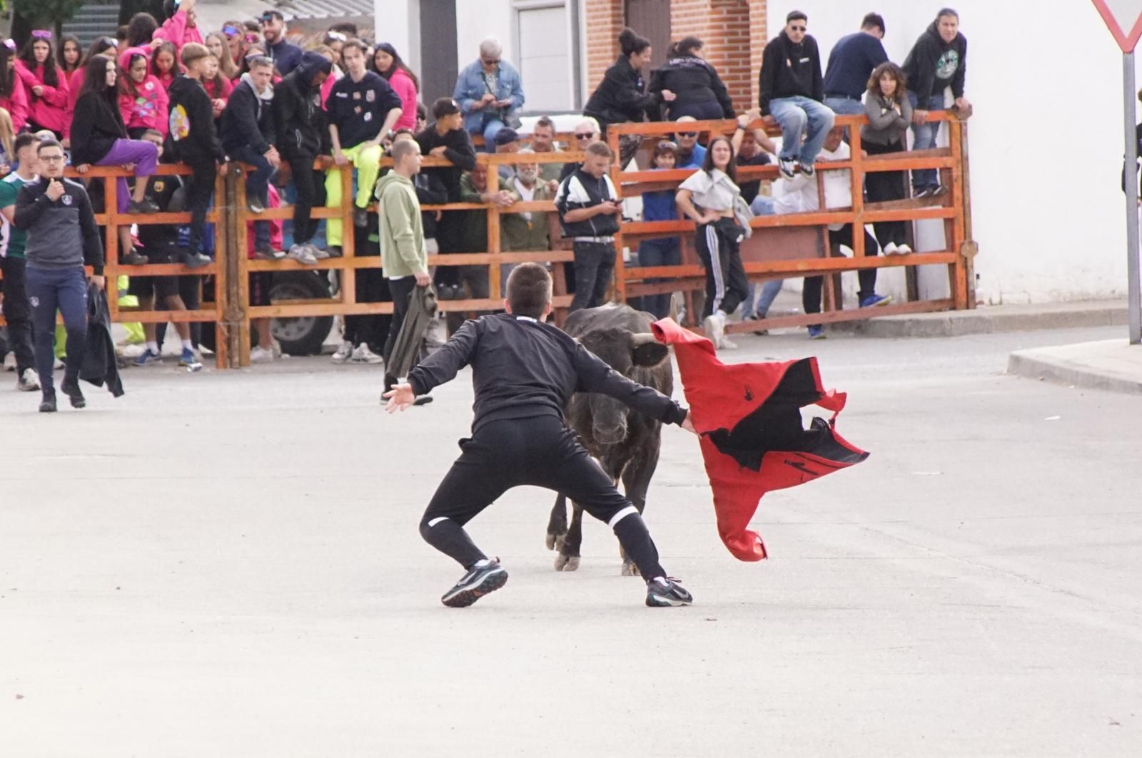 whatsapp-image-2024-09-08-at-14-04-57-7