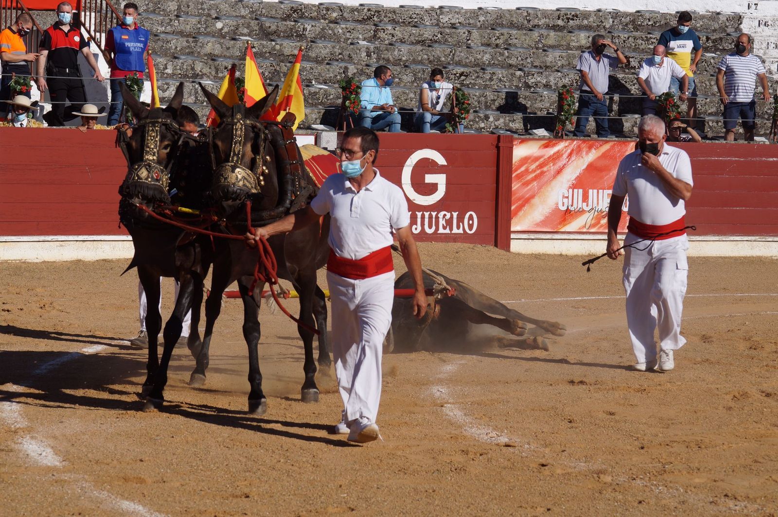 corrida-de-toros-en-guijuelo-29