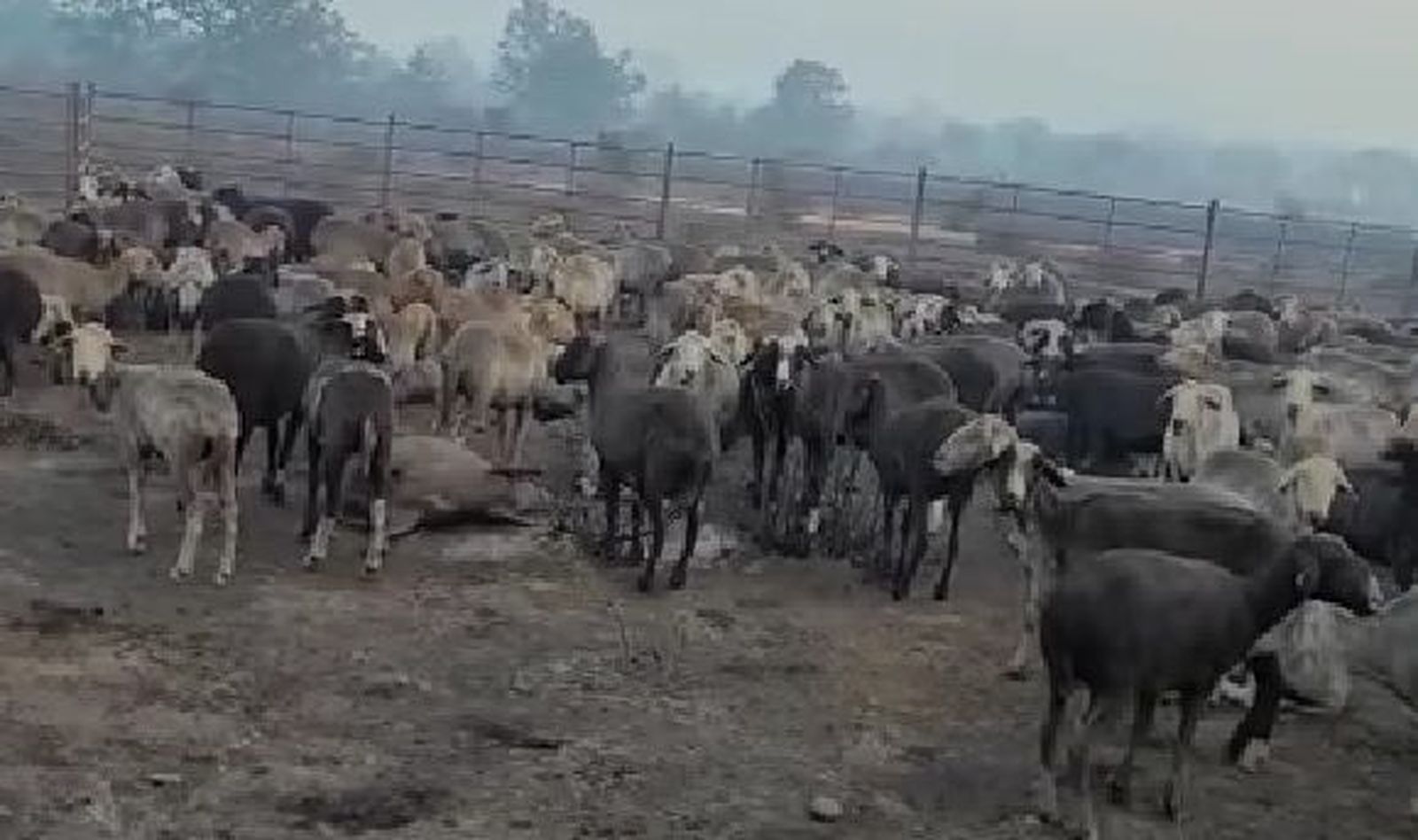 Un fragmento del vídeo