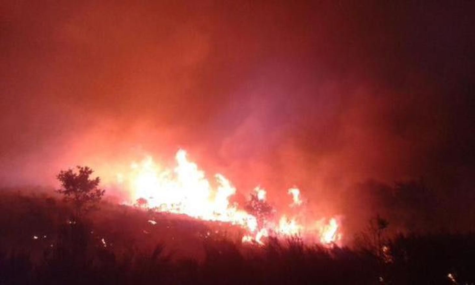 El incendio forestal de Quintana del Castillo sigue descontrolado en nivel 2 El incendio forestal de Quintana del Castillo sigue descontrolado en nivel 2