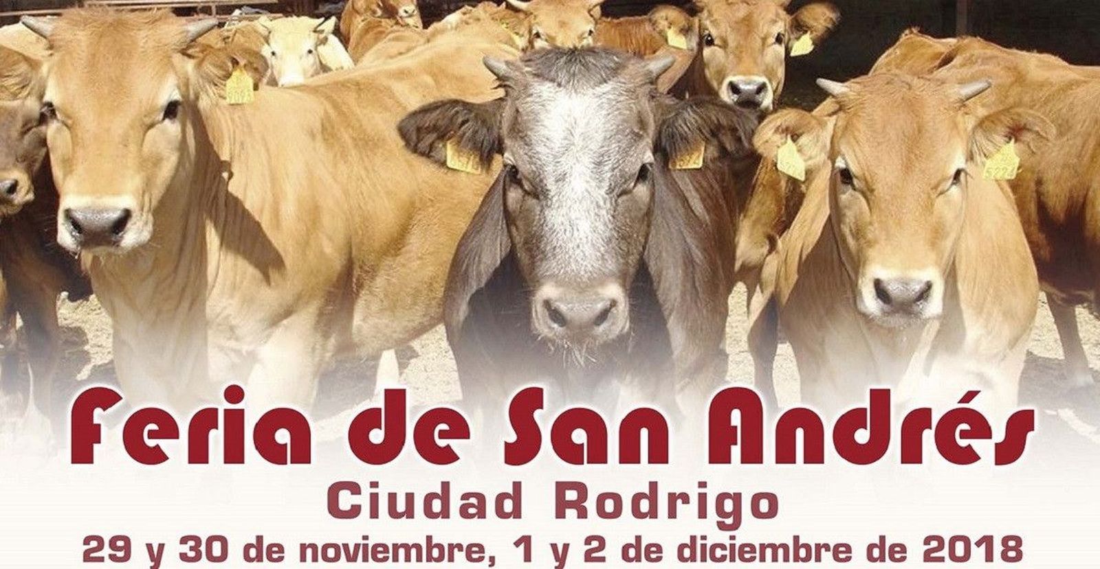 Cartel Feria SaNDRES 2