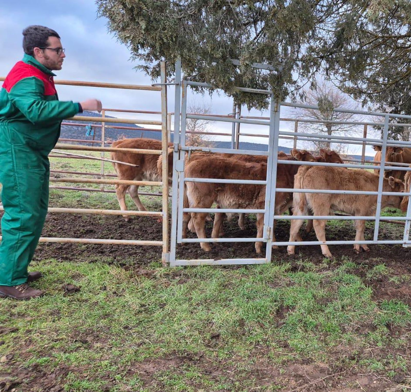 Ganadero de la zona de Barruecopardo. Foto de archivo
