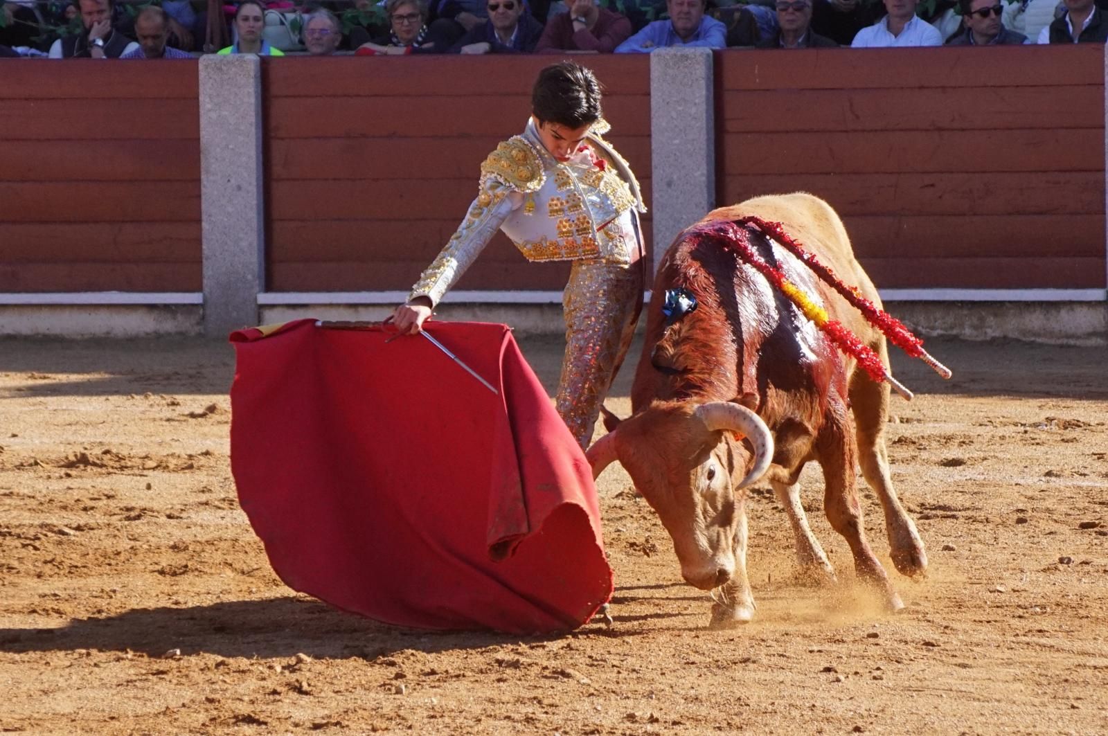 whatsapp-image-2024-04-20-at-19-59-33