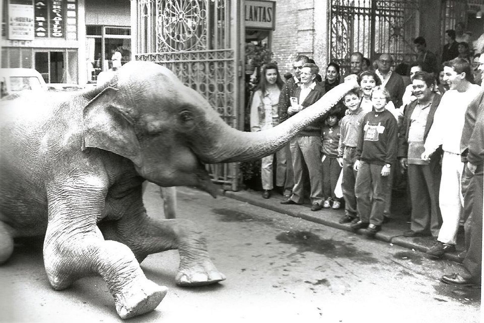 90883787 2877352409023160 3660931214308540416 o