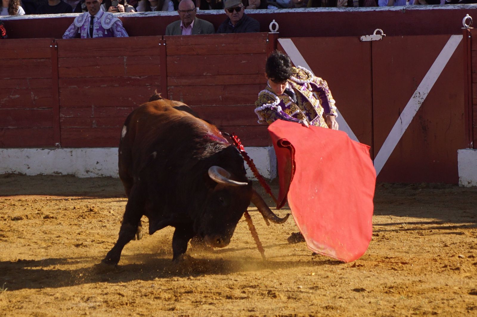 novillada-con-picadores-en-villoria-57