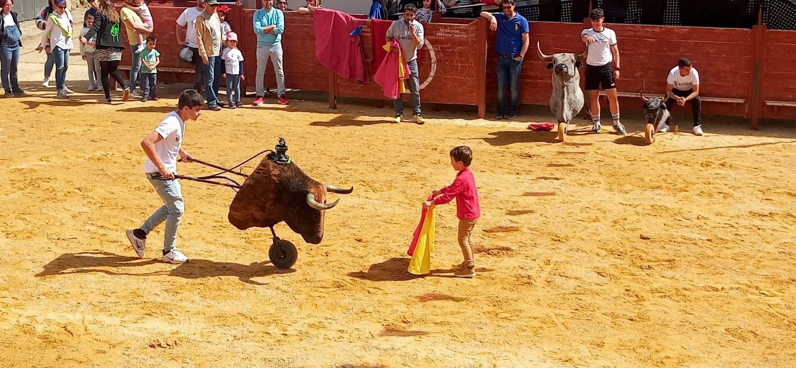 photo-2023-05-14-17-09-19