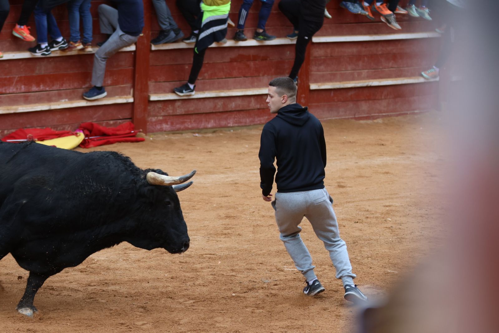 Mañana de capea de lunes en el Carnaval del Toro 2026