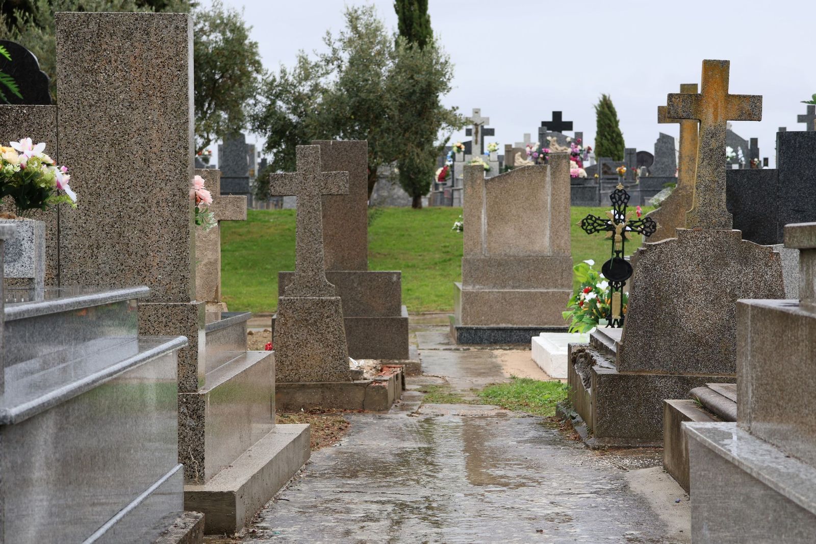 GALERÍA | La lluvia no detiene la tradición: los zamoranos acuden al cementerio para recordar a sus fallecidos