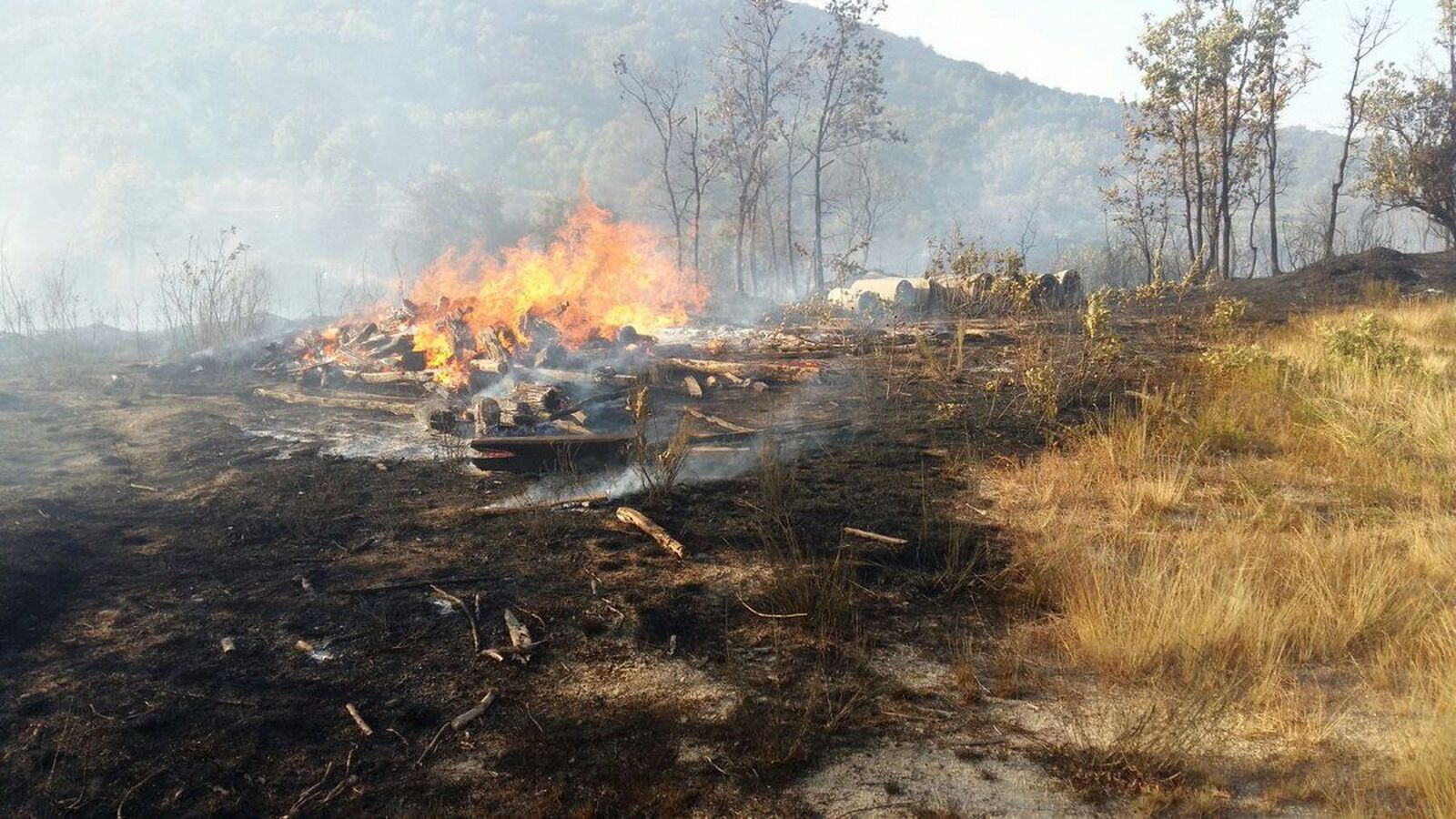 Incendio forestal en Cepeda