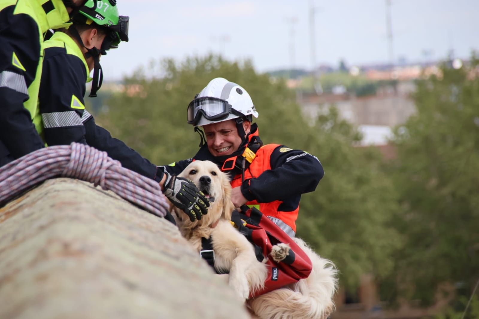 los-bomberos-rescatan-a-un-perro-en-el-jardin-botanico-de-salamanca-fotos-andrea-m-2