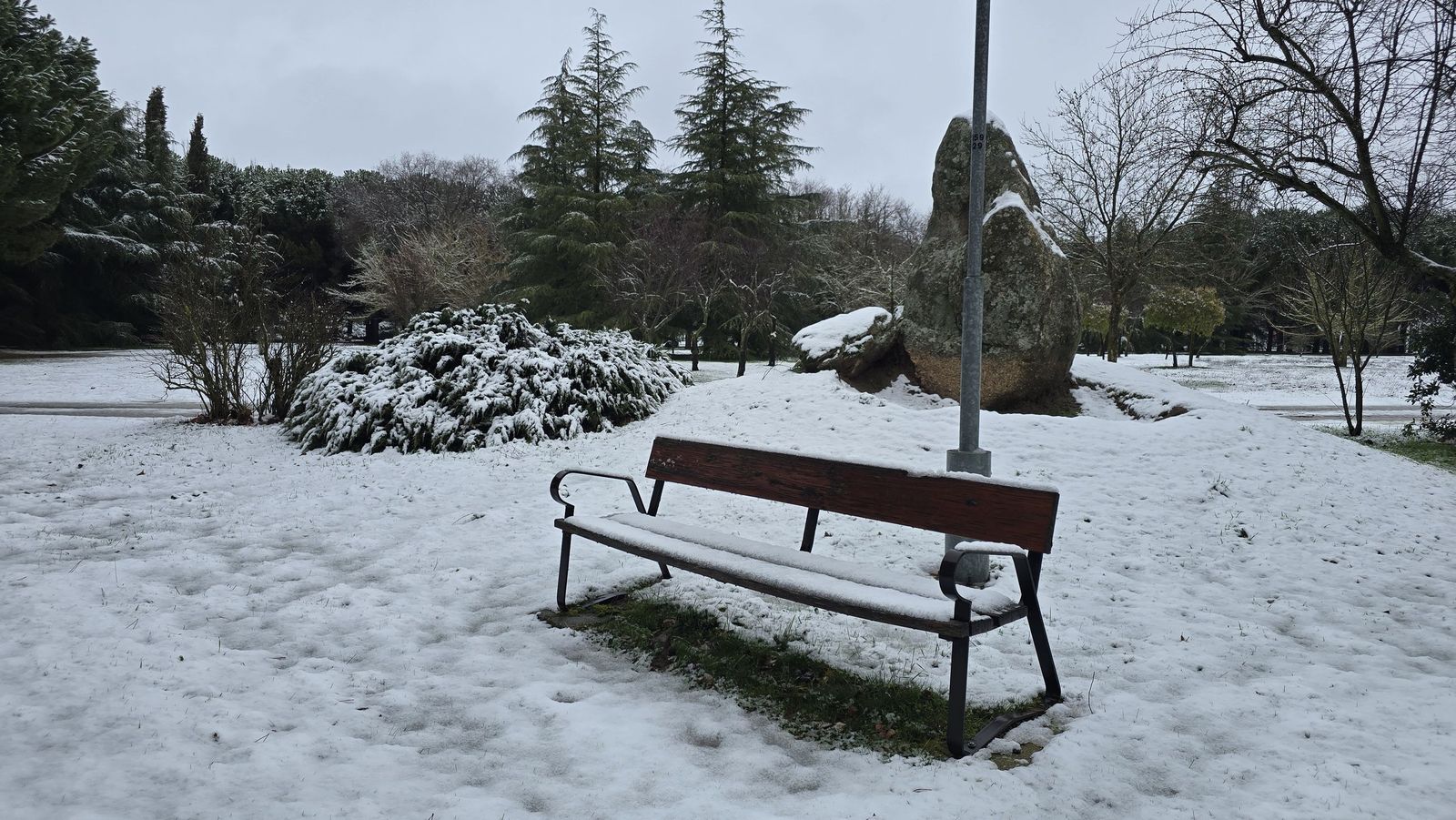 La nieve anega carreteras y tiñe de blanco Salamanca capital y provincia: imágenes de la nevada de este 28 de enero