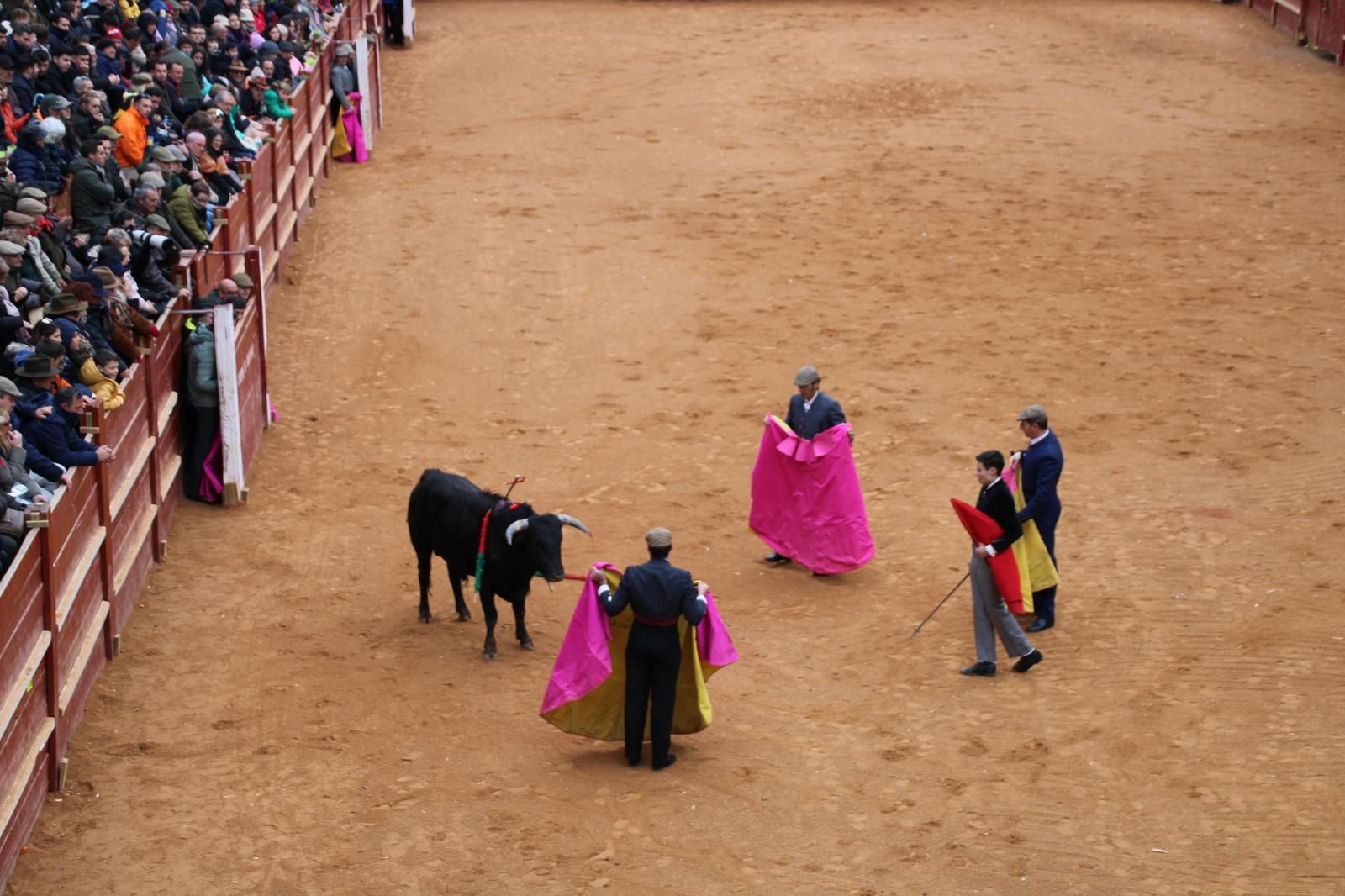 whatsapp-image-2025-03-02-at-16-55-53-1